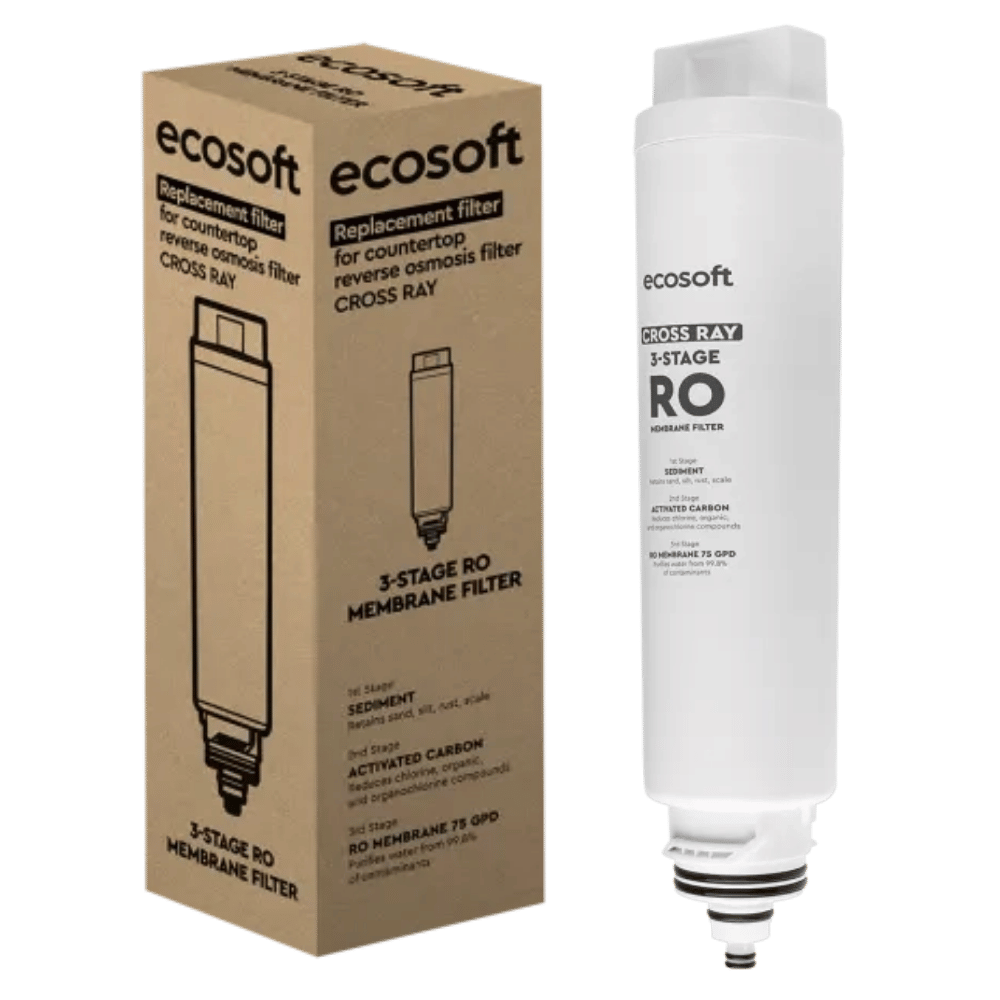 ecosoft_ray_1.png