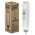 ecosoft_ray_1.png